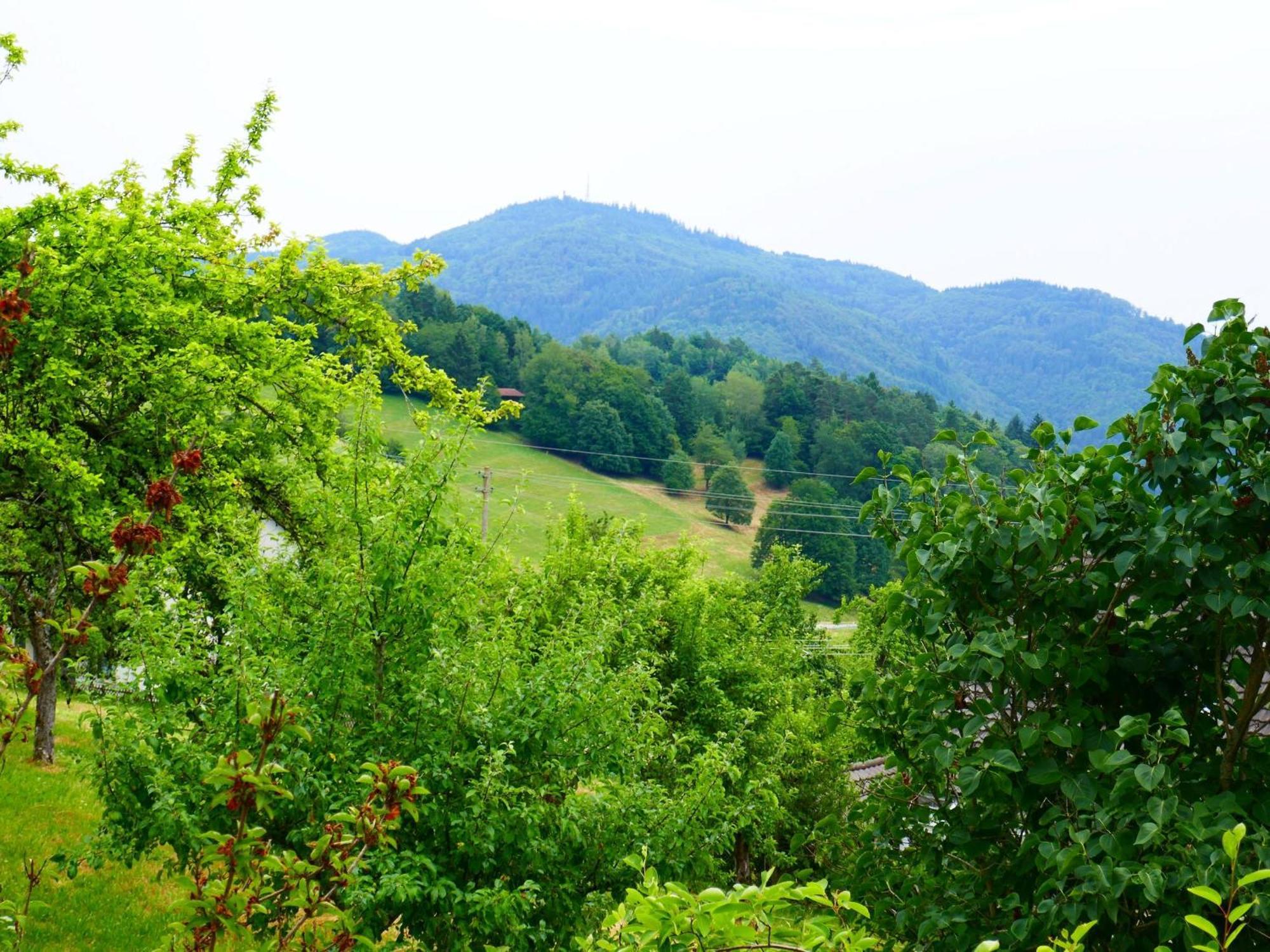 Appartamento Haus Landblick Zell im Wiesenthal Esterno foto
